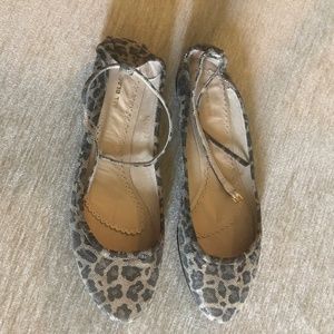 Leopard print All Black flat